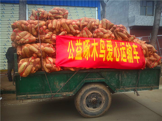 ＂愛心蘿卜＂來了！