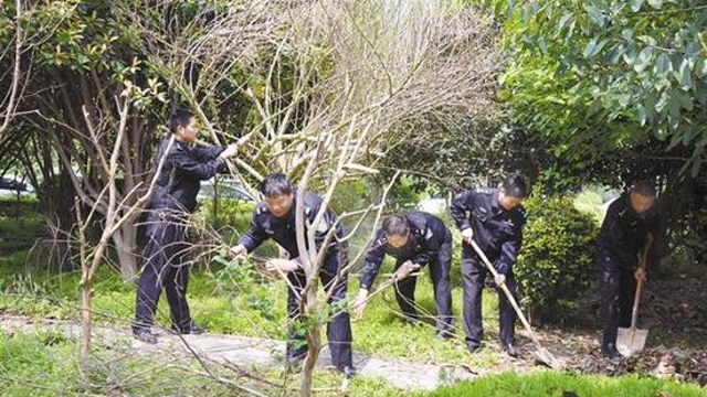 周口“創(chuàng)衛(wèi)”：刑警在行動(dòng)