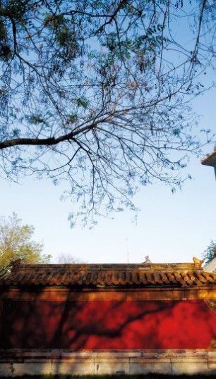 畢業(yè)旅行:走進(jìn)中國(guó)古代最高學(xué)府國(guó)子監(jiān)