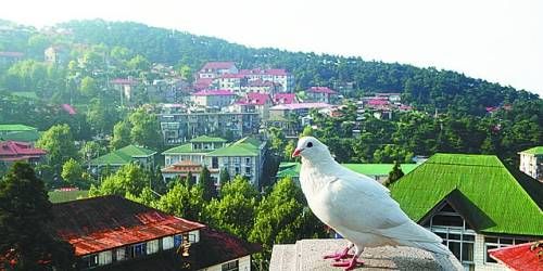  有著“云中山城”之稱的牯嶺鎮(zhèn)面臨著遷民下山。